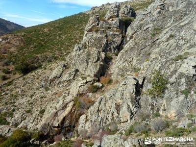 La Dehesa Bonita - Abedular de Somosierra_ turismo de senderismo